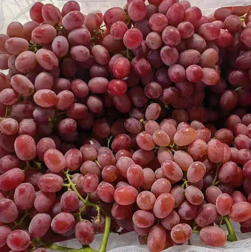 Organic Grapes